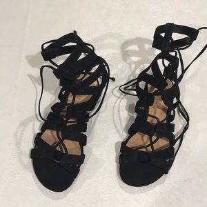 NWOT, Schutz Erlina Suede Lace up Sandals. 6B